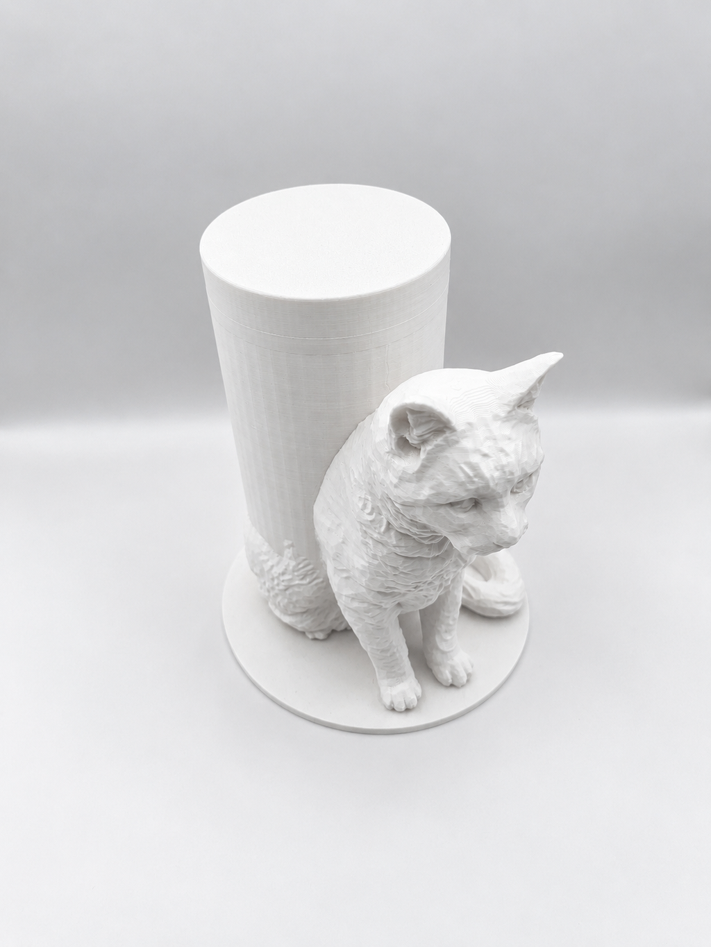 Boîte Souvenir Chat