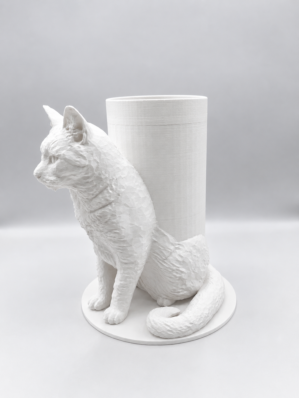 Boîte Souvenir Chat