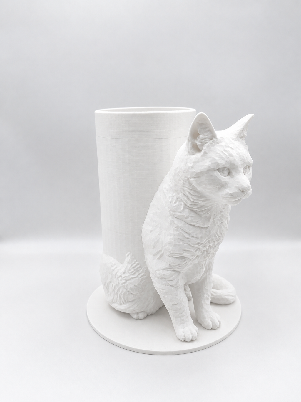 Boîte Souvenir Chat