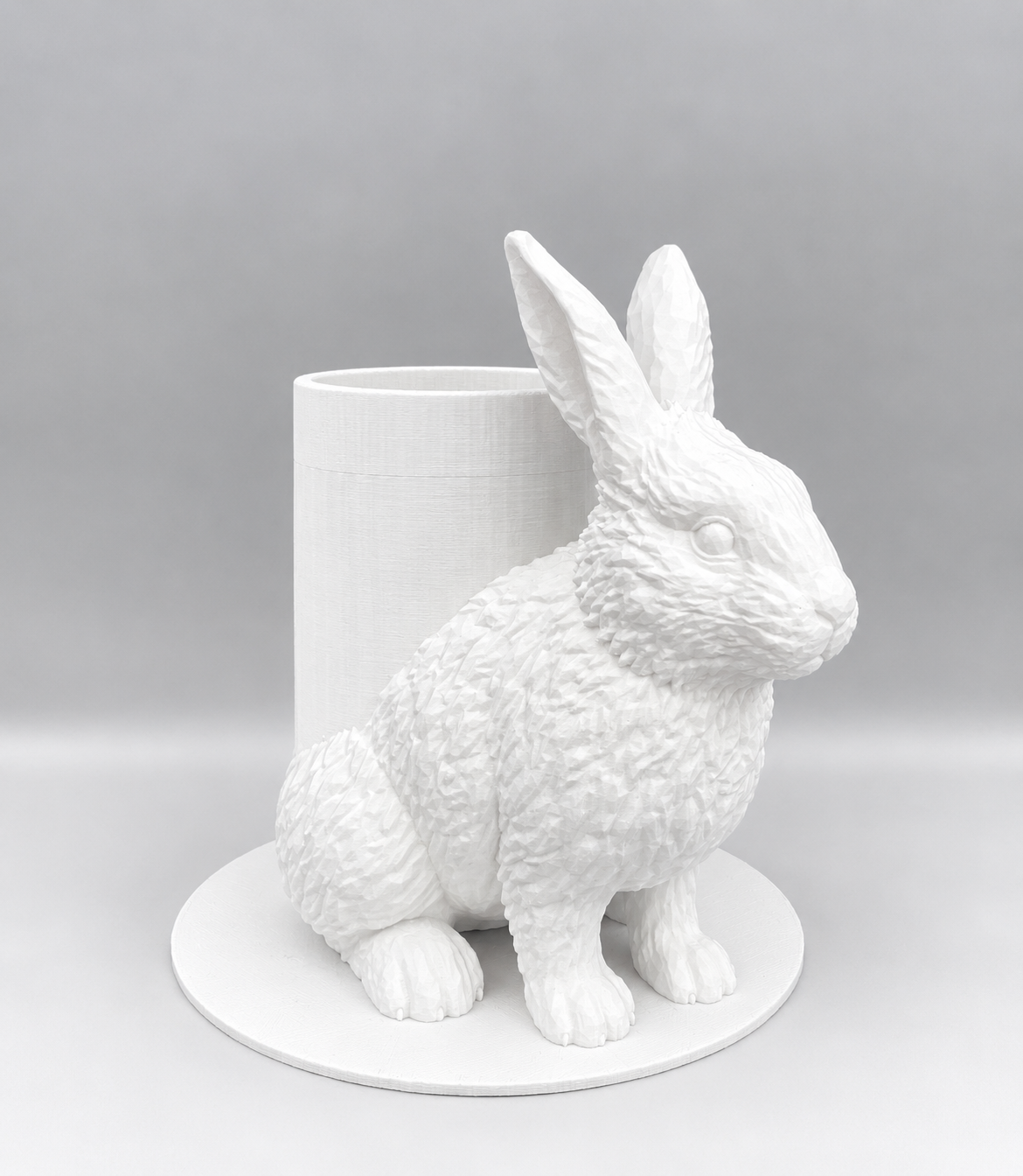Boite Lapin