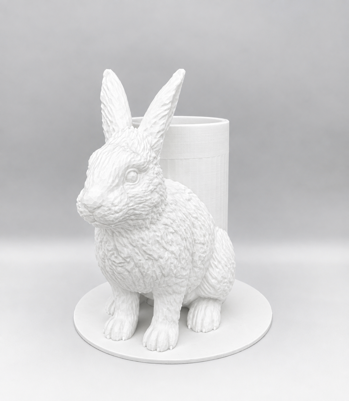 Boite Lapin