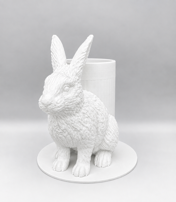 Boite Lapin