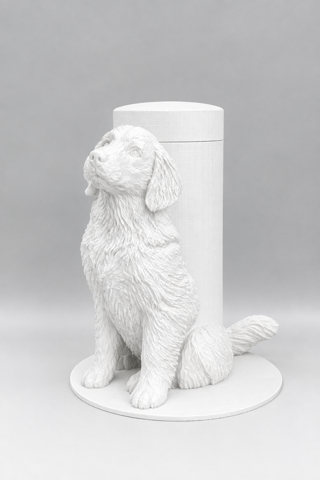 Boite Chien