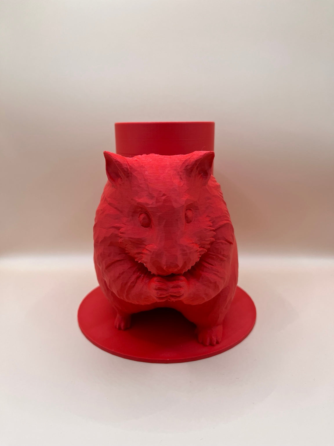 Boite Hamster
