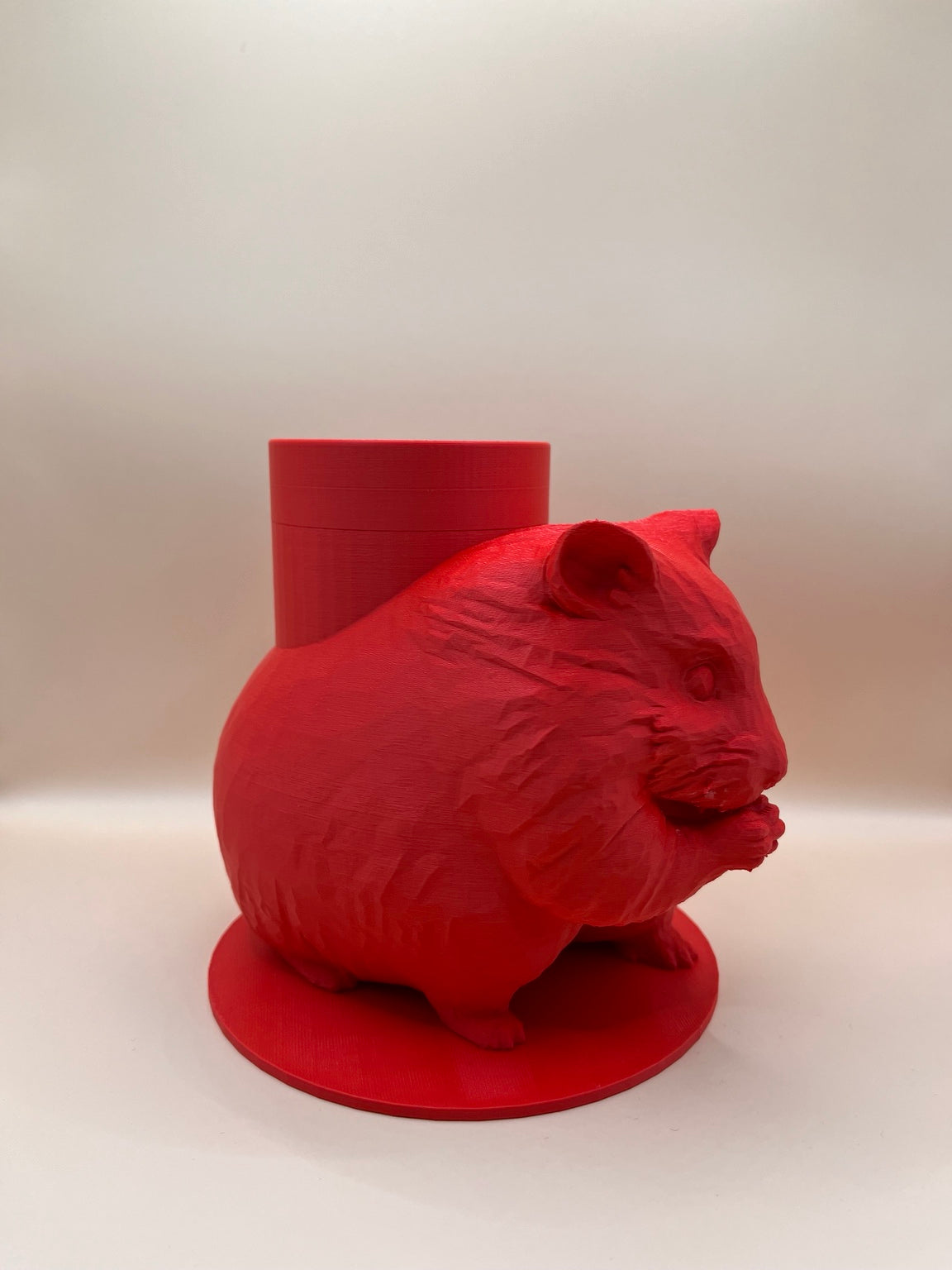 Boite Hamster