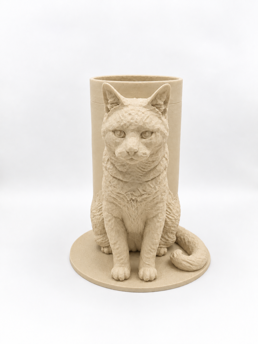 Boîte Souvenir Chat
