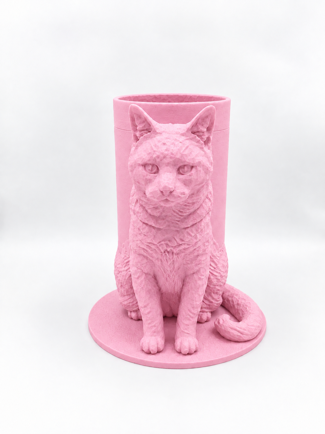 Boîte Souvenir Chat