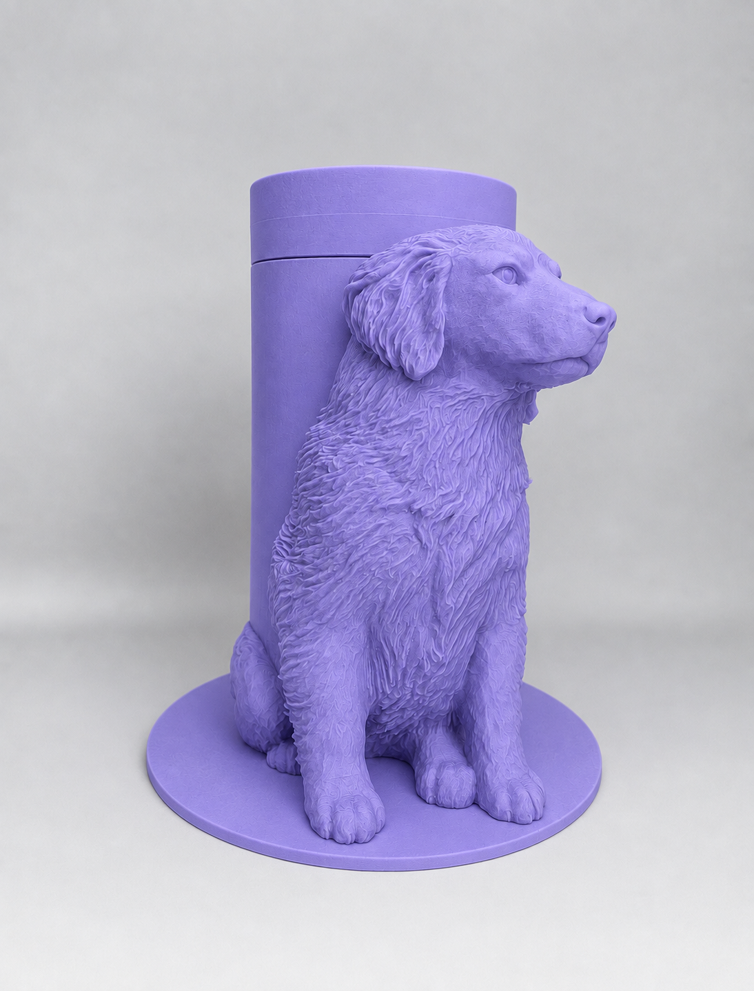 Boite Chien