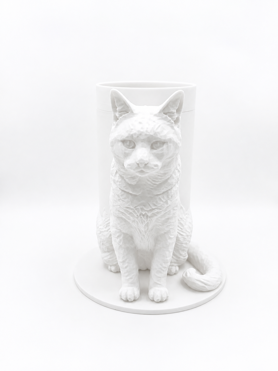 Boîte Souvenir Chat