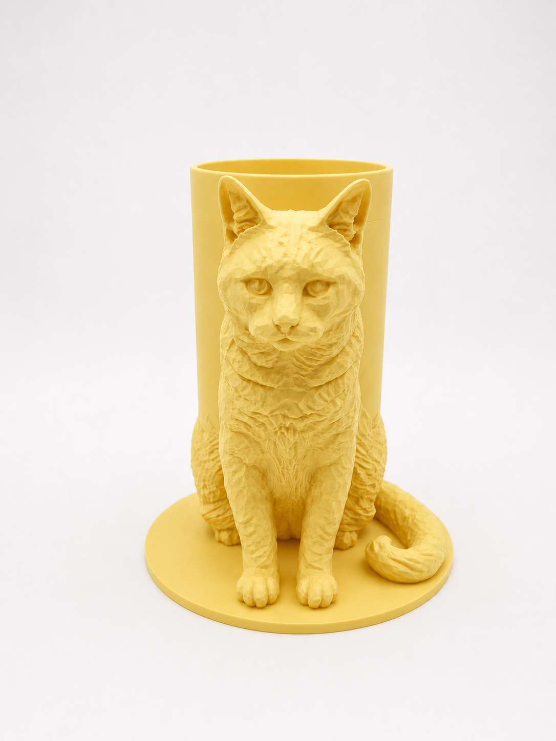 Boîte Souvenir Chat