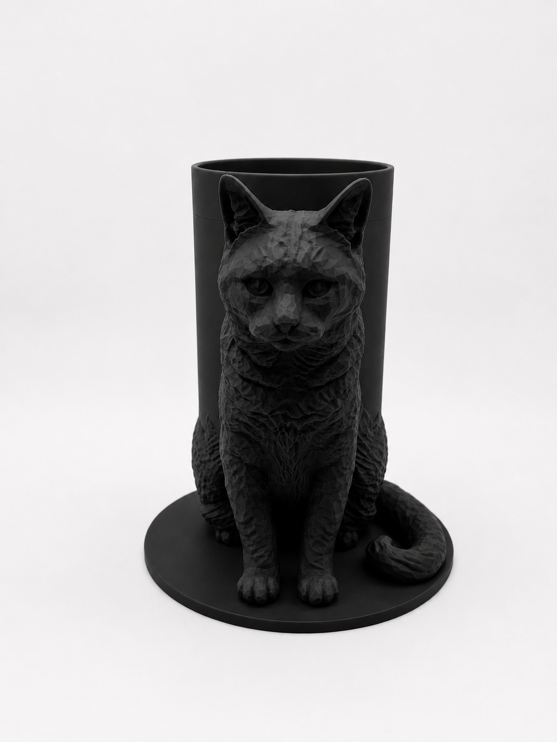 Boîte Souvenir Chat