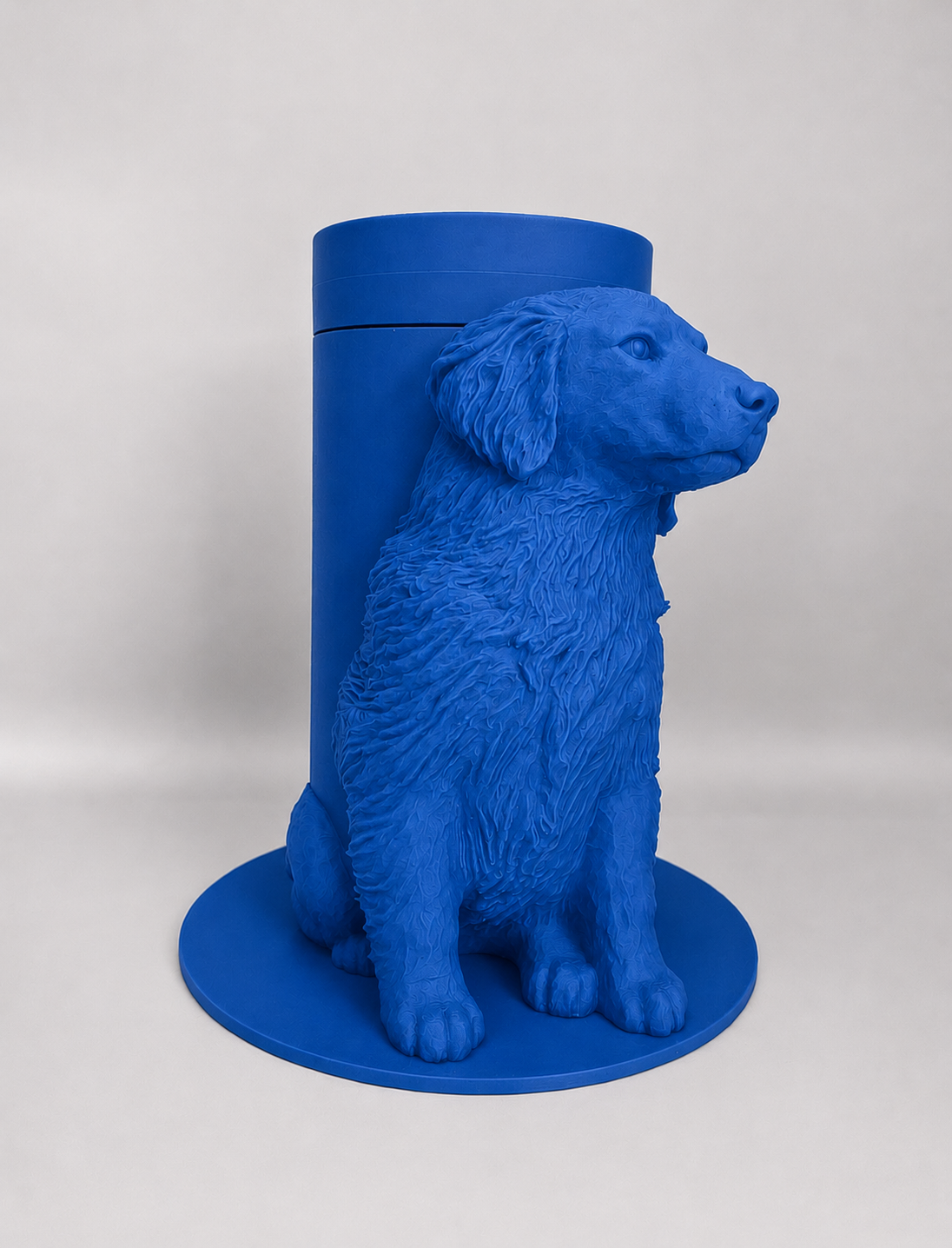 Boite Chien