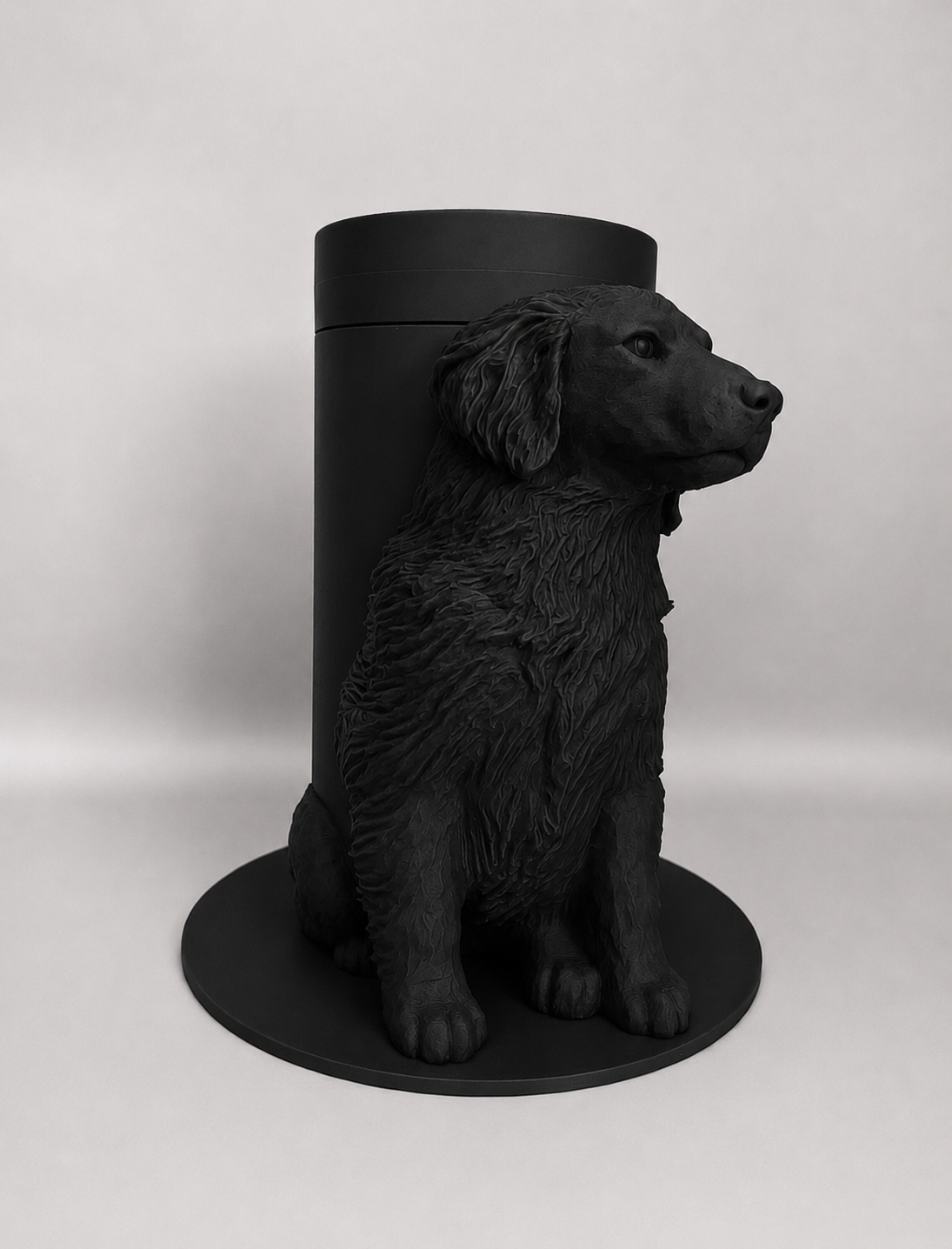 Boite Chien