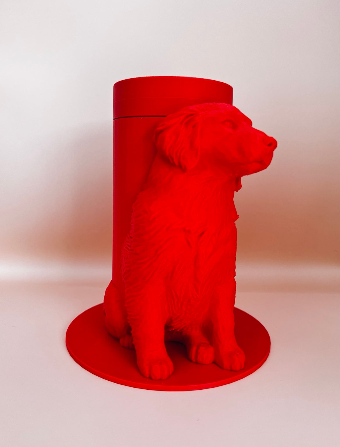 Boite Chien