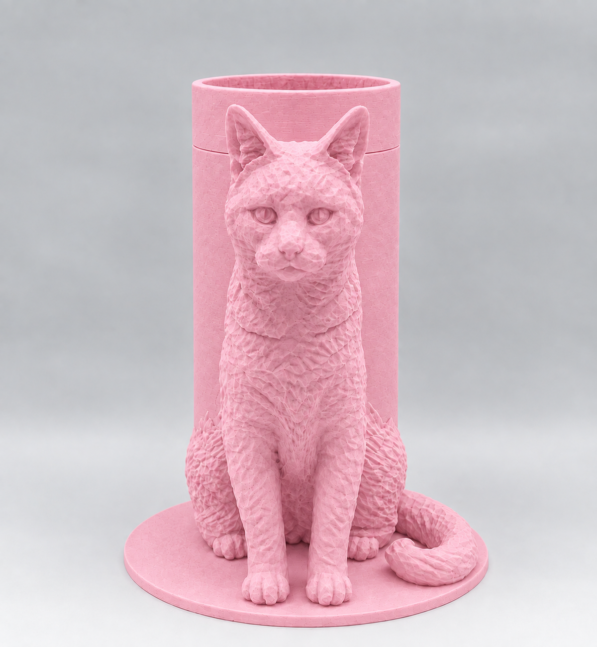 Boîte Souvenir Chat