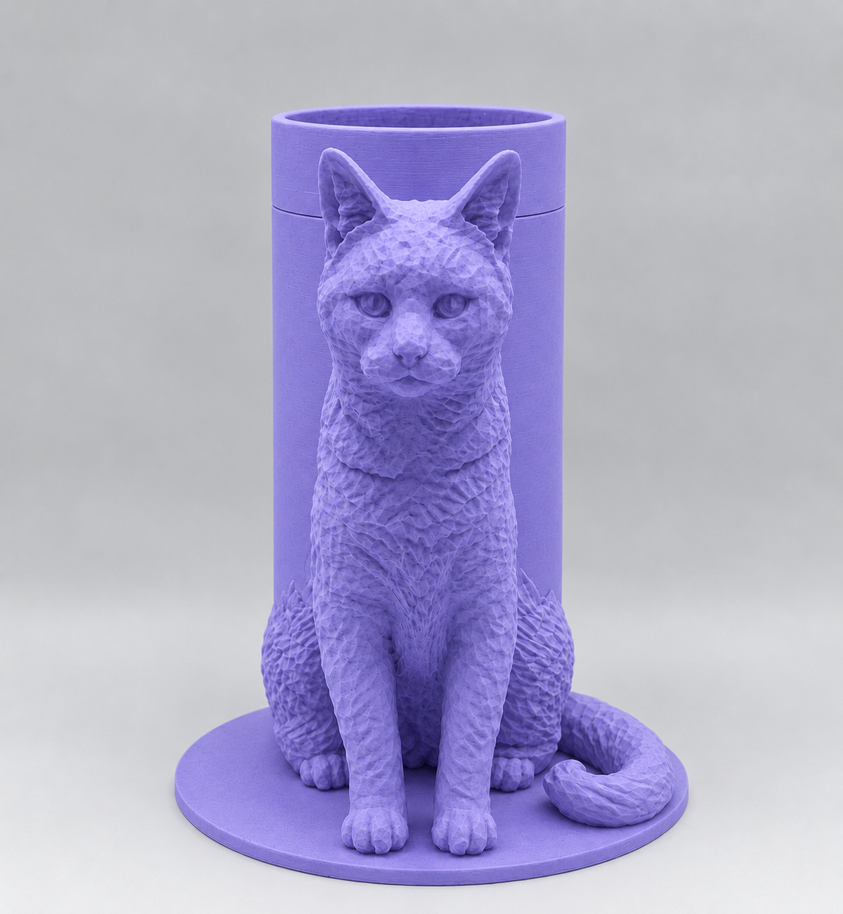 Boîte Souvenir Chat