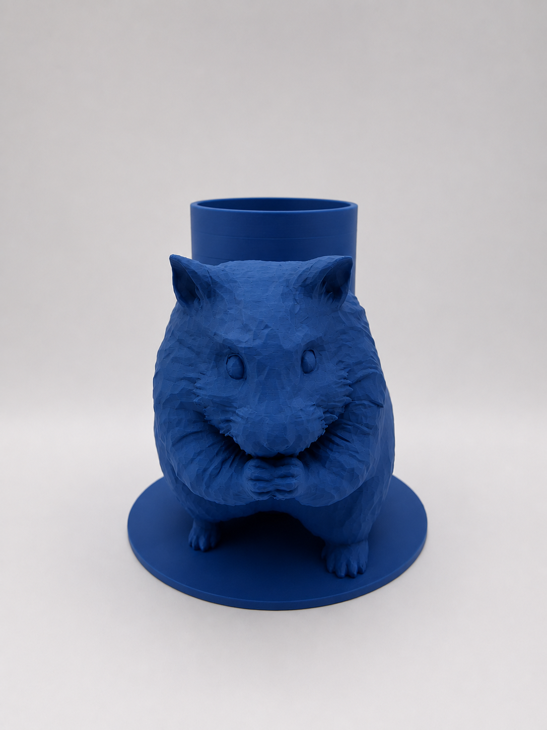 Boite Hamster