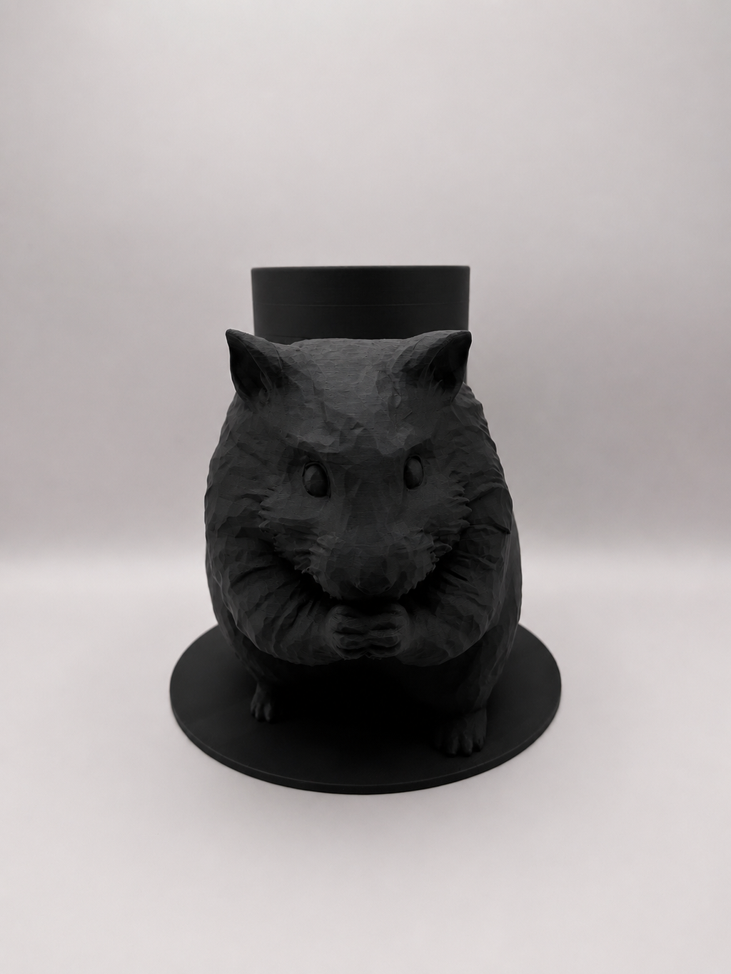 Boite Hamster