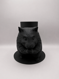 Boite Hamster