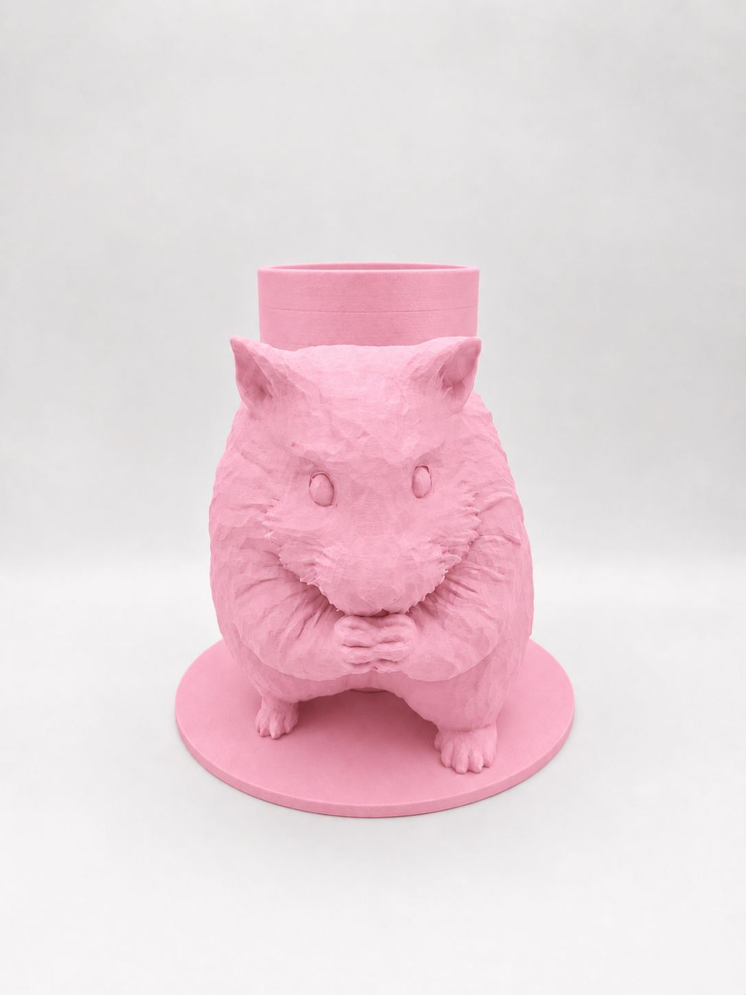 Boite Hamster