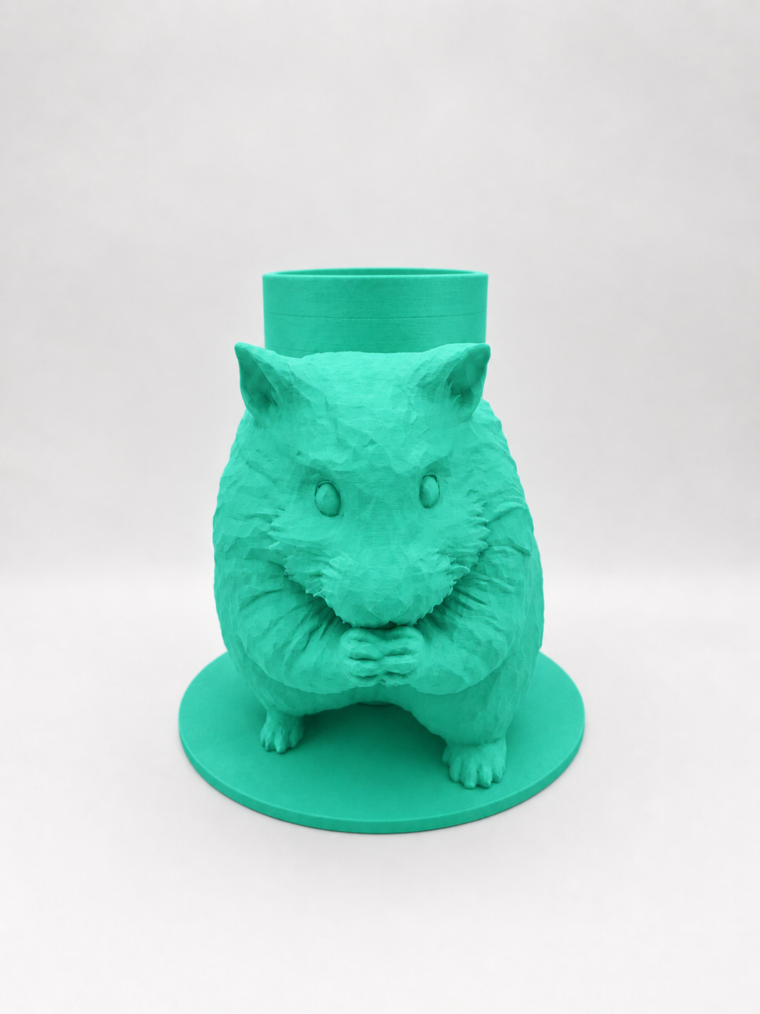 Boite Hamster