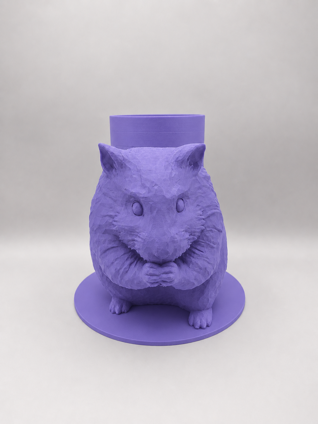 Boite Hamster
