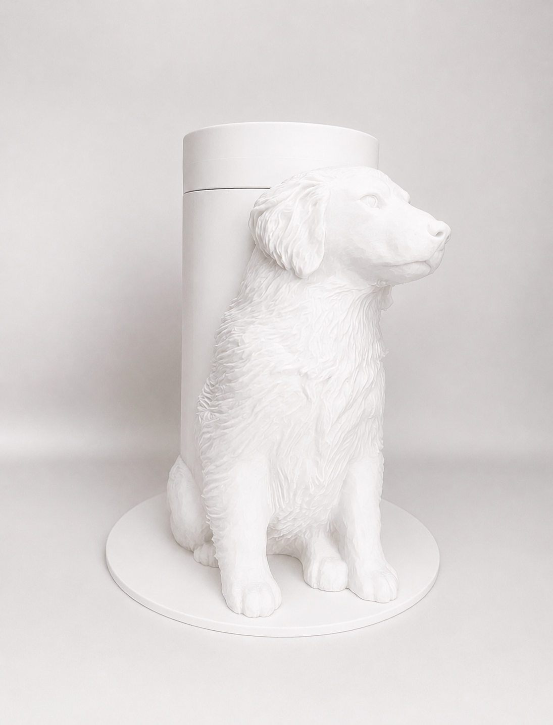 Boite Chien